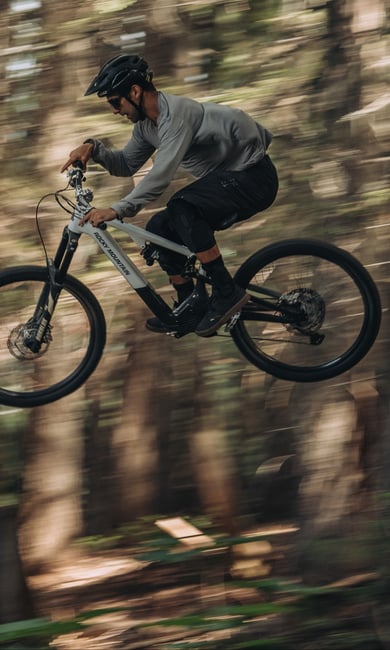 Web_InstinctPP_MRiga_AVolokhov_NelsonBC_MRP3423